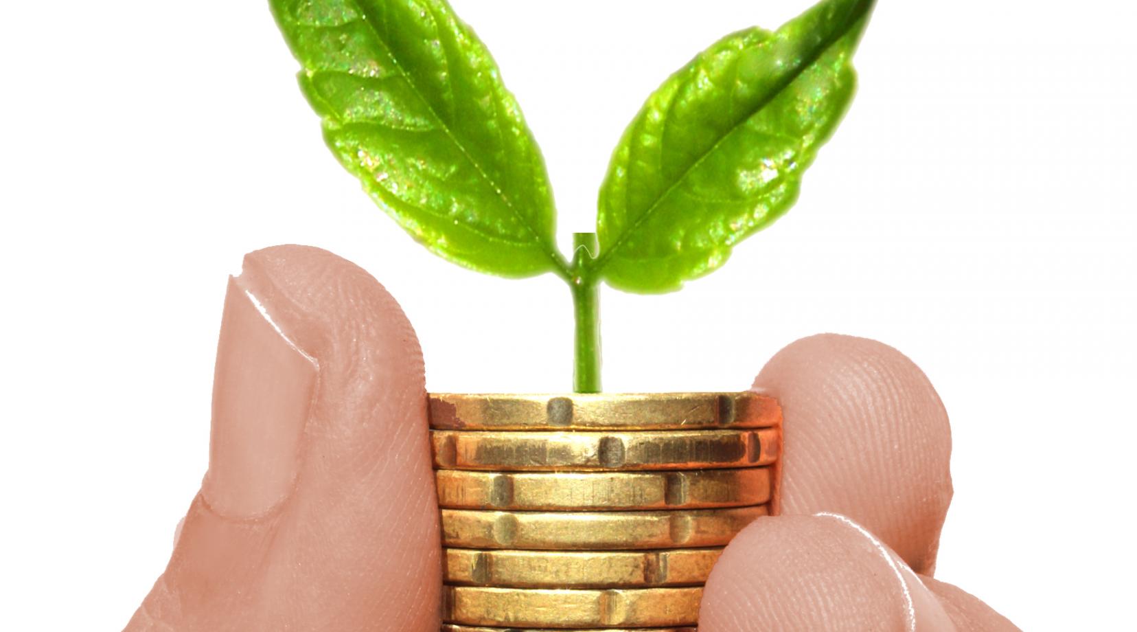 Business Planning in Agriculture: Train‐the-Trainer Workshop
