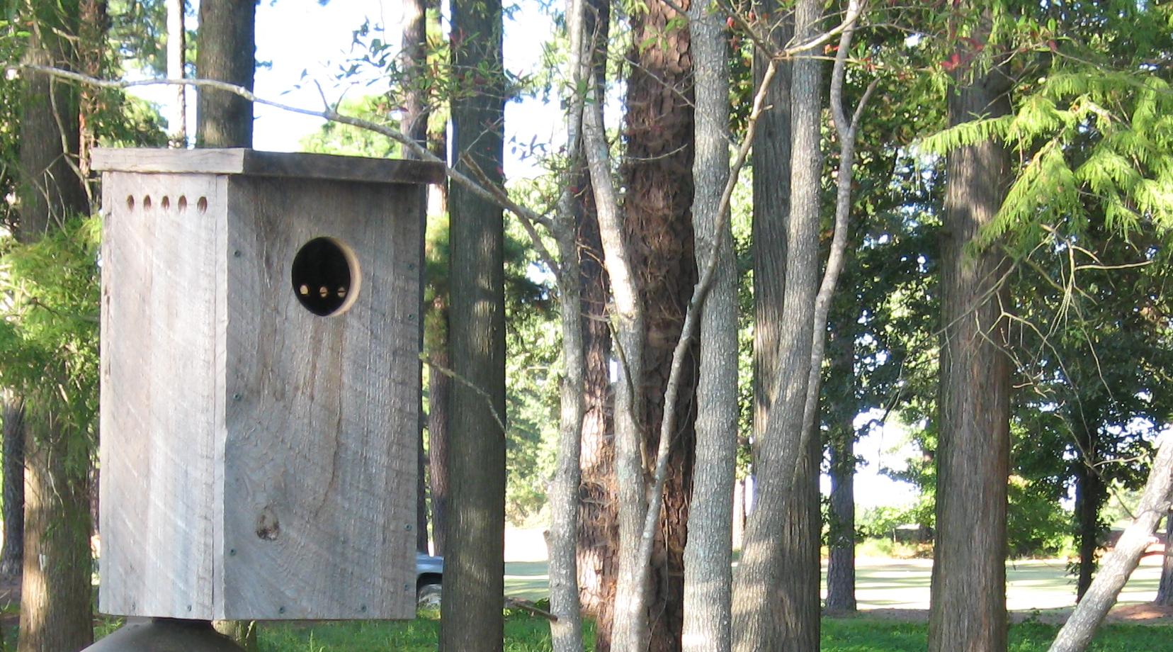 Duck box.