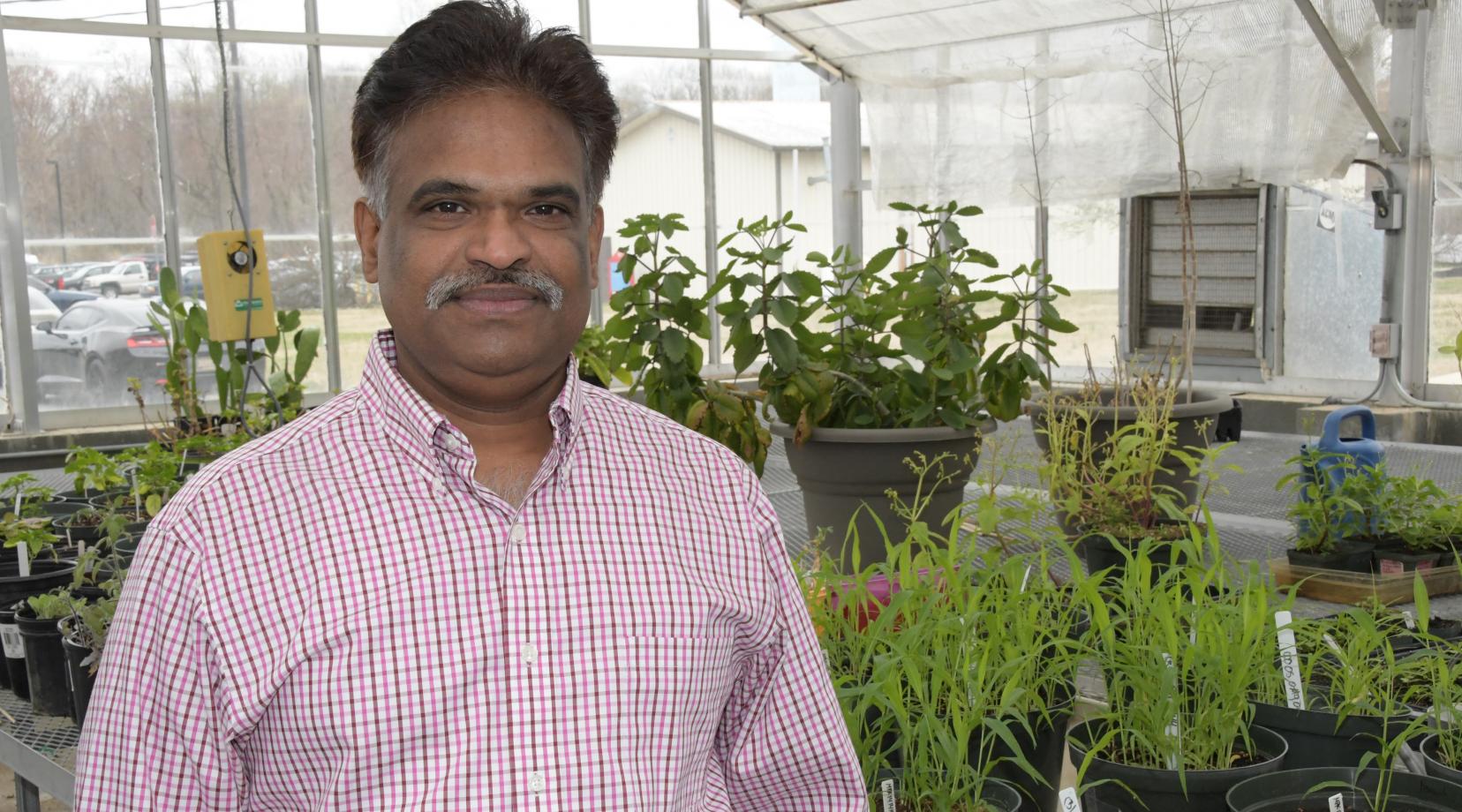 <p>Dr. Sathya Elavarthi, associate professor of applied agriculture science, is spearheading the University's newest investigatory pursuit -- hemp cultivation research</p>