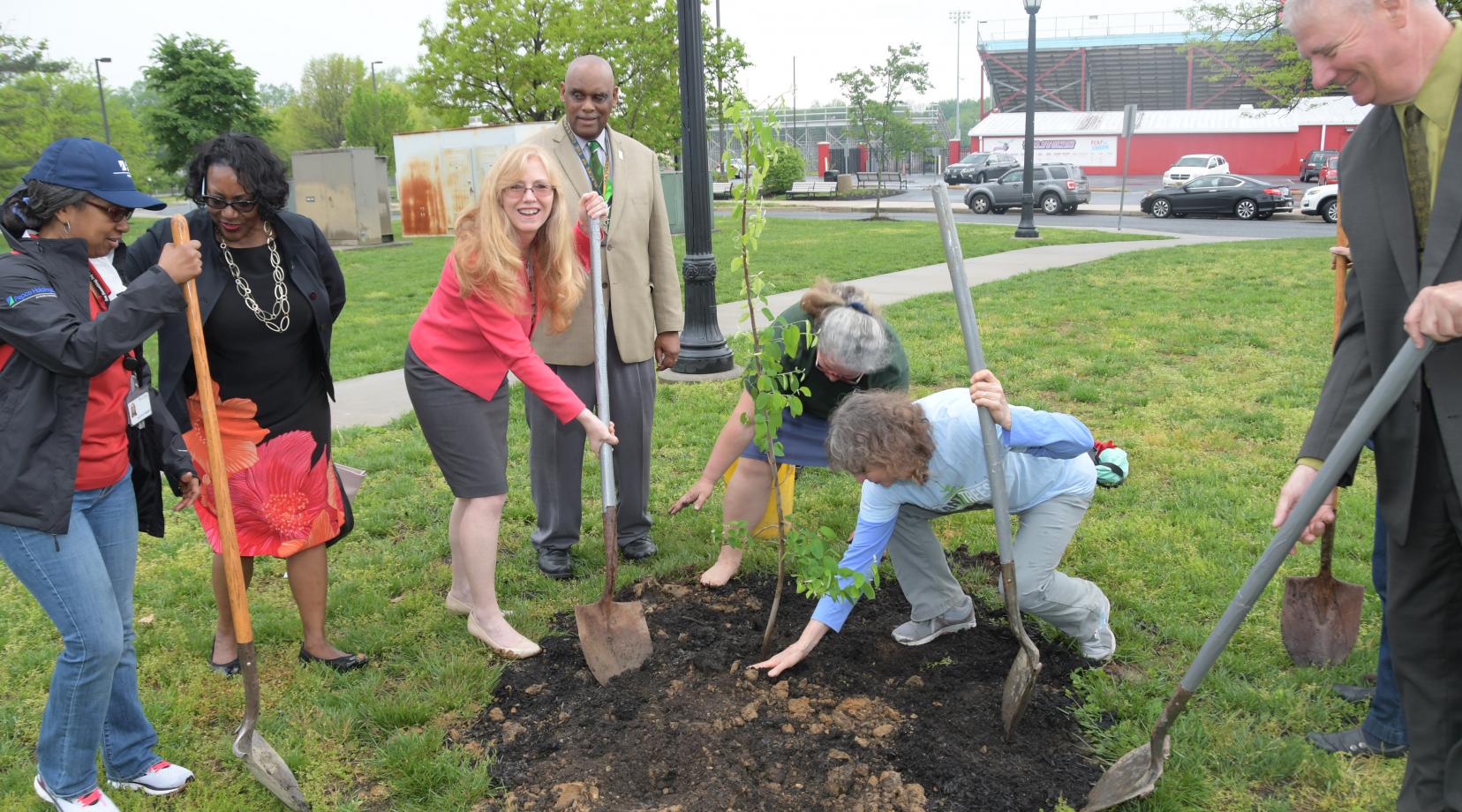 <p>State Sen. Stephanie Hansen (standing in center with shovel) helps other in planting a new tree outside of the Martin Luther King Jr. Student Center.</p>