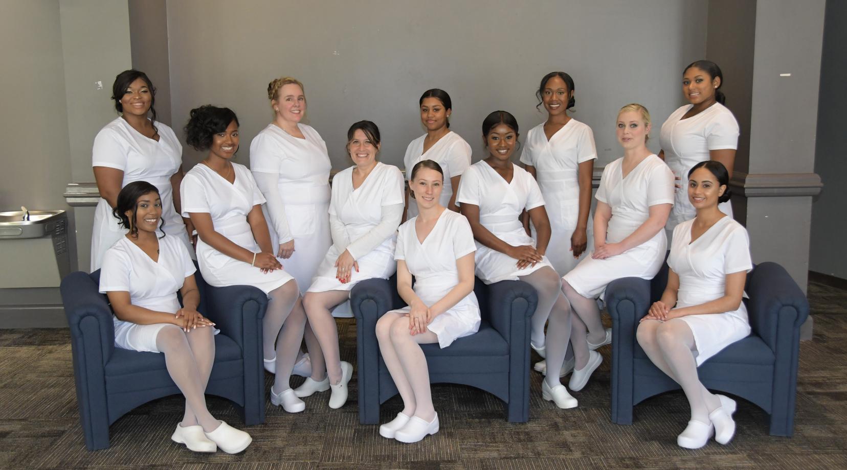 <p>2019 Nursing Class: (seated l-r) Michelle Branch, Nakia Griffin, Lauren Heintzelman, Caitlyn Haberle, Gabriella Crooks, Chelsea Panchisin, Gabrielle Vascos; (standing l-r) Breana Dunn, Michelle Ende, Dajah Bryant, Alexah Liverman and Phylicia Wittock.</p>