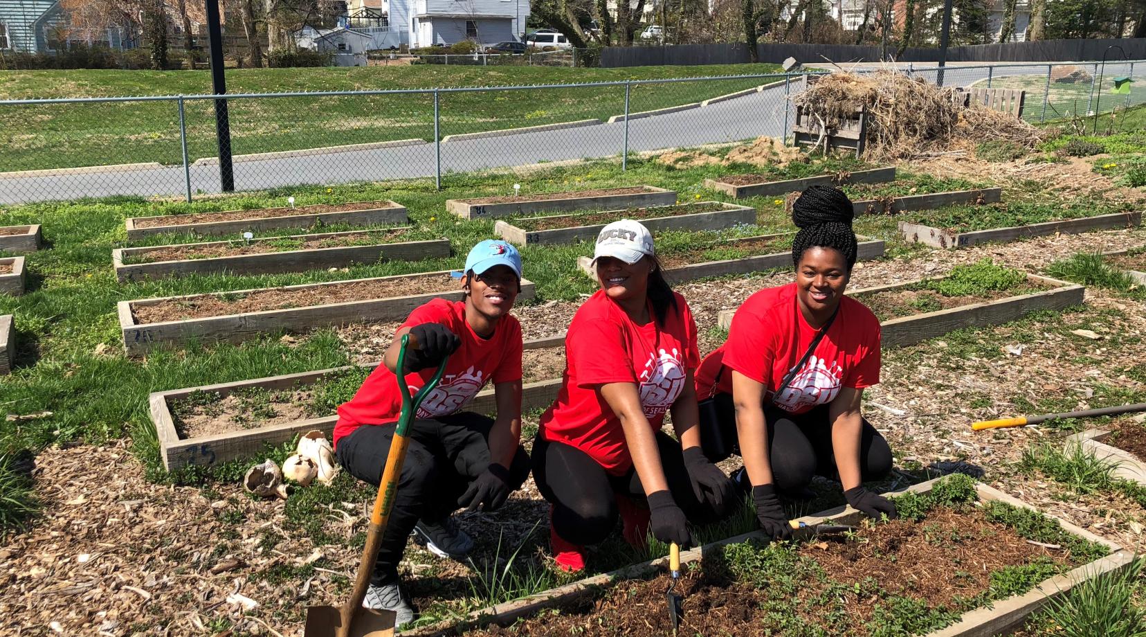 A trio of DSU students work on a garden area of the Bellevue Community Center in Wilmington as part of DSU's annual community service day.