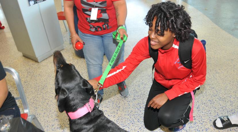 <p>A DSU student learns how pet therapy can reduce stress and anxiety. Such information was shared as part of the National Public Health Week activities in the MLK Jr. Student Center on April 5.</p>