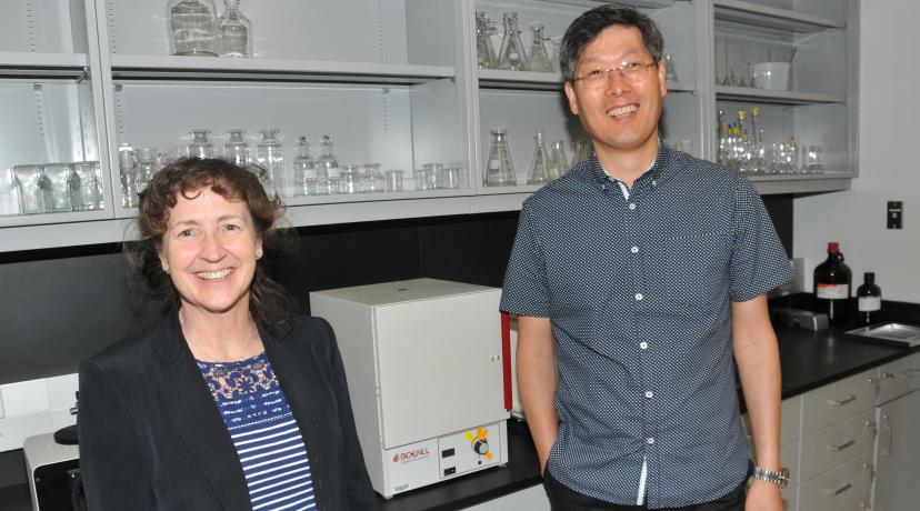 <p>Dr. Melissa Harrington and Hwan Kim are the co-principal investigators who successfully obtained the five-year grant from the National Institute of General Medical Sciences.</p>