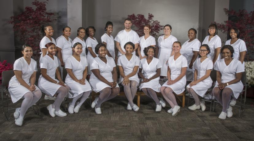 <p>2017 Nursing Graduates</p>